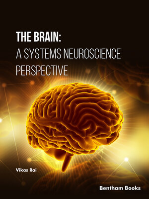 cover image of The Brain